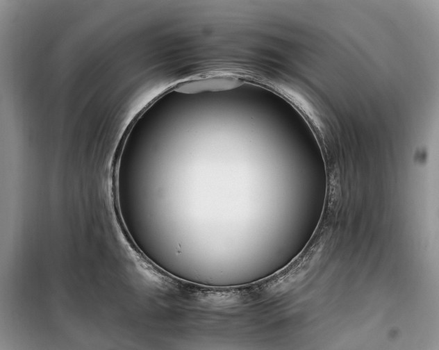 X0000100381047200806131055