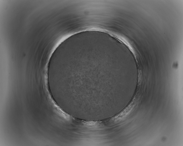 X0000100381048200806131055