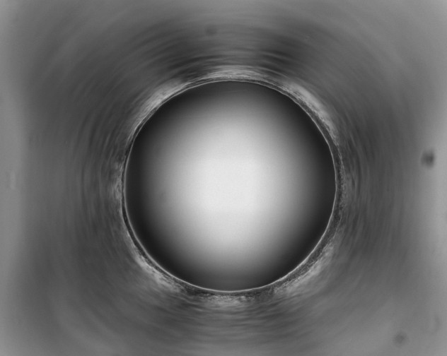 X0000100381049200806131055