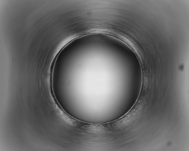 X0000100381050200806131055