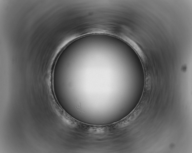 X0000100381051200806131055