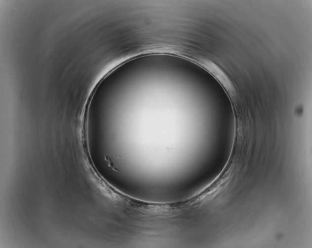 X0000100381052200806131055