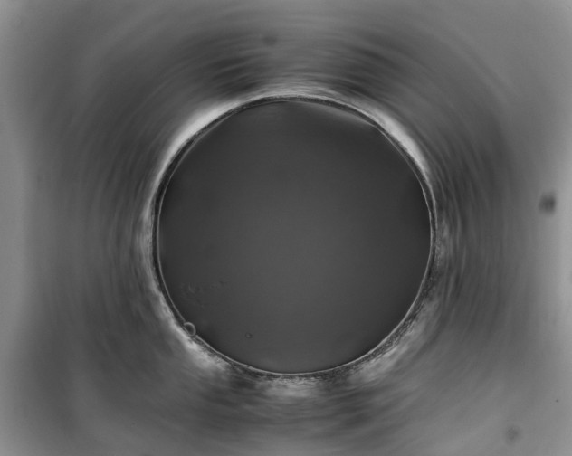 X0000100381053200806131055