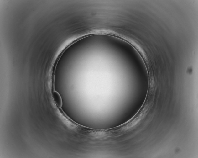 X0000100381054200806131055