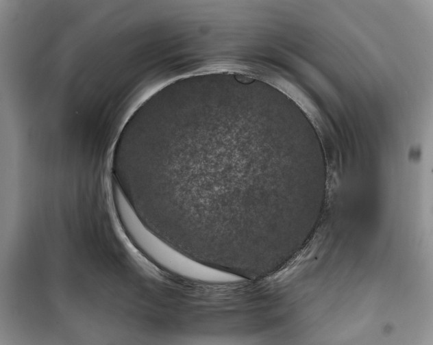 X0000100381055200806131055