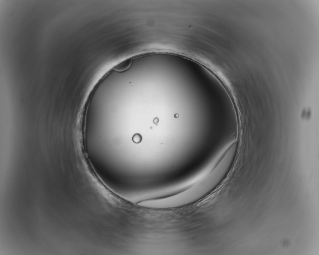 X0000100381056200806131055