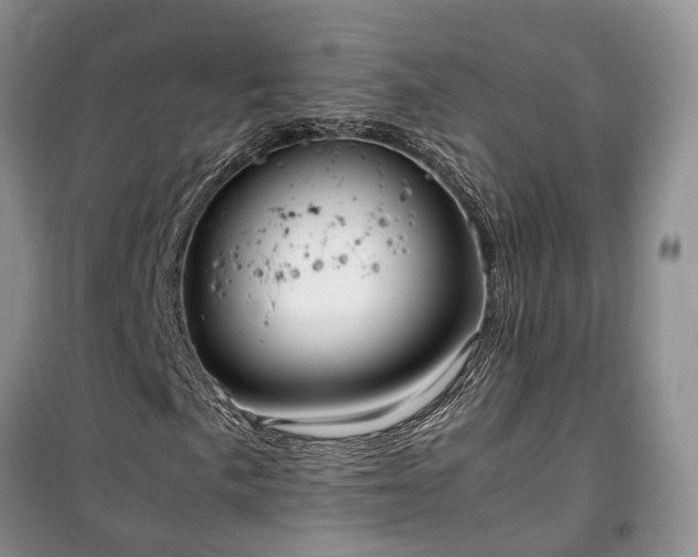 X0000100381057200806131055