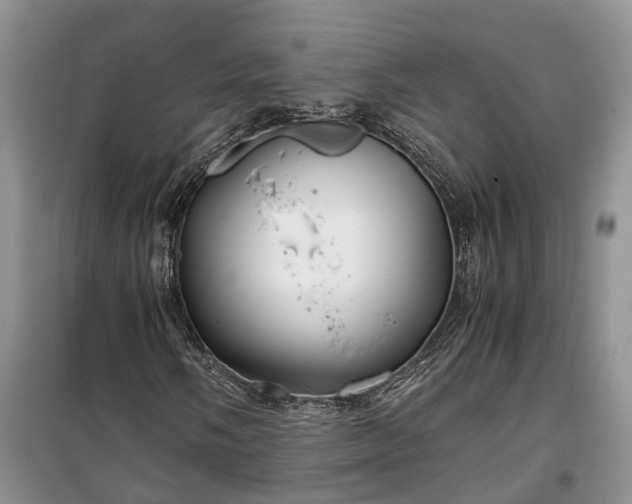 X0000100381058200806131055