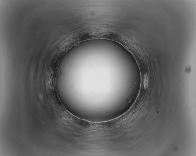 X0000100381059200806131055