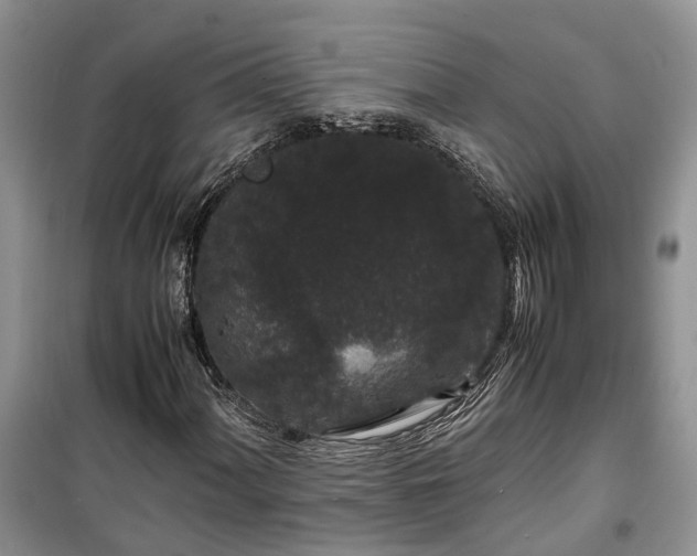 X0000100381060200806131055