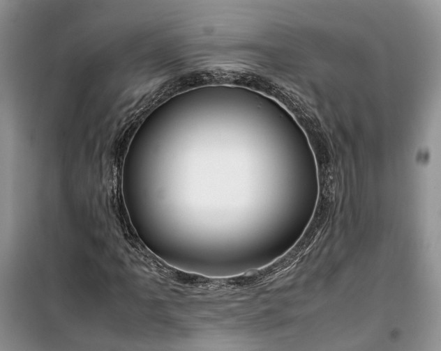 X0000100381061200806131055