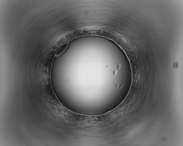X0000100381062200806131055