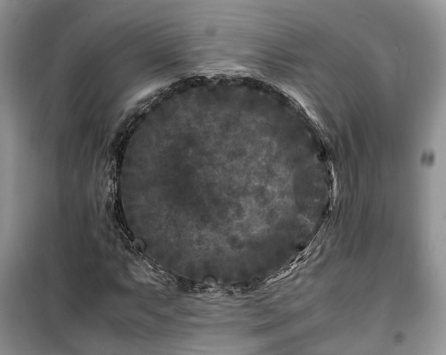 X0000100381063200806131055