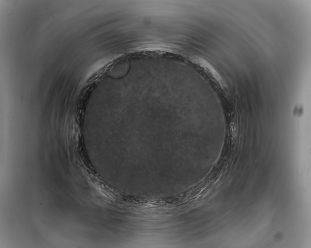 X0000100381064200806131055
