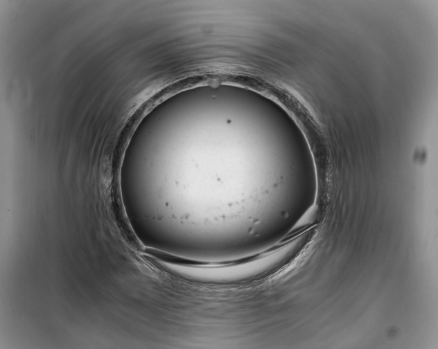 X0000100381065200806131055