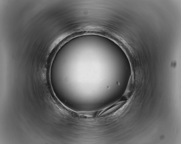 X0000100381066200806131055