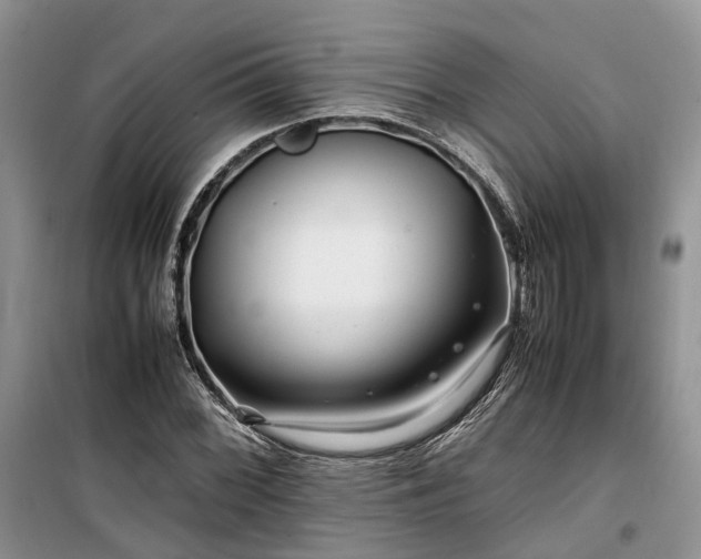 X0000100381068200806131054