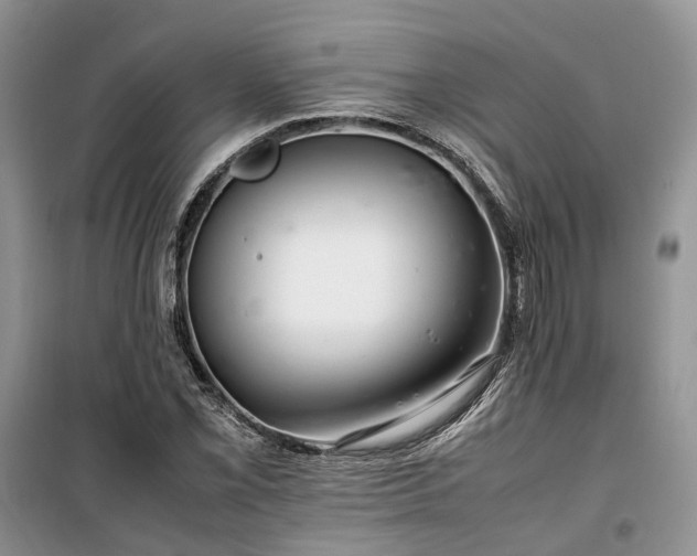 X0000100381069200806131054