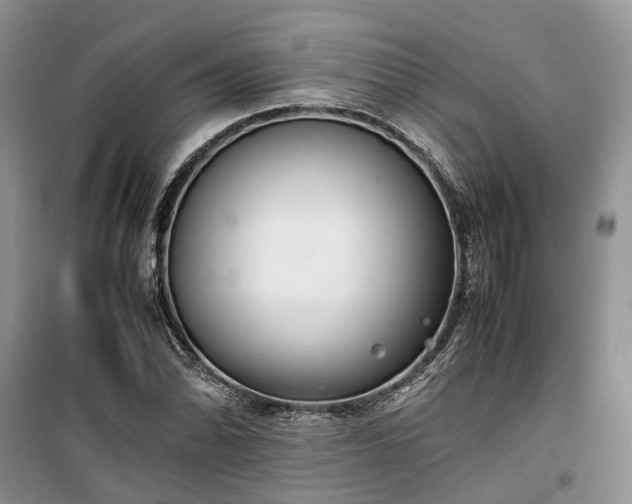 X0000100381070200806131054