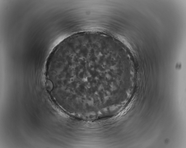 X0000100381071200806131054