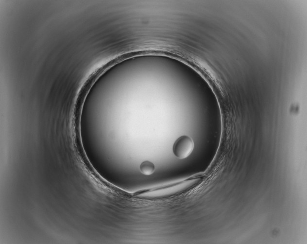 X0000100381072200806131054