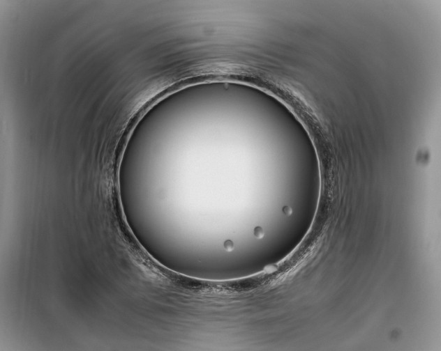 X0000100381073200806131054