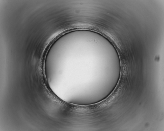 X0000100381074200806131054