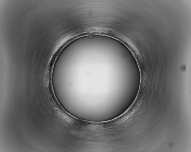 X0000100381075200806131054