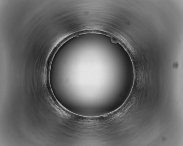 X0000100381076200806131054