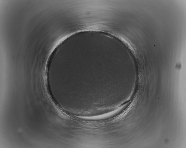 X0000100381077200806131054