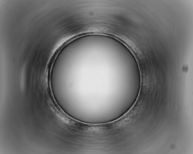 X0000100381078200806131054