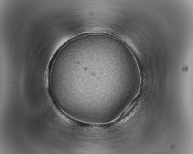 X0000100381079200806131054