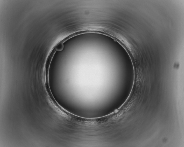 X0000100381080200806131054