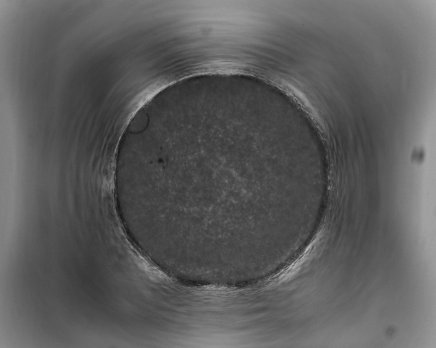 X0000100381081200806131054