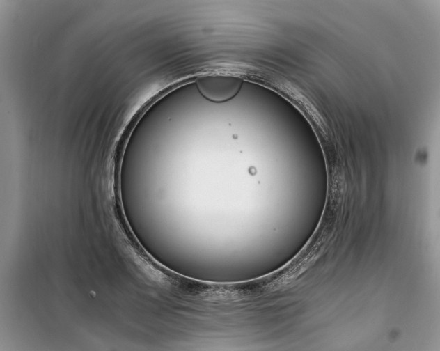 X0000100381083200806131054