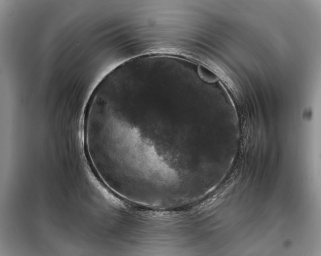 X0000100381084200806131054
