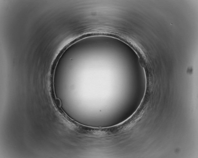 X0000100381085200806131054