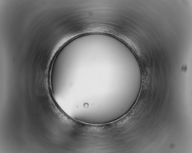 X0000100381086200806131054