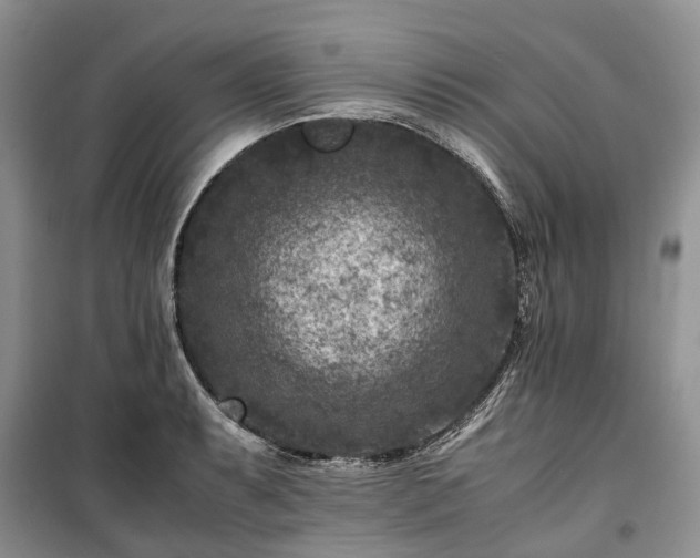 X0000100381087200806131054