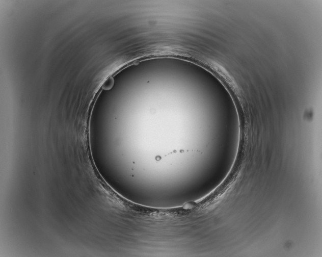 X0000100381089200806131054