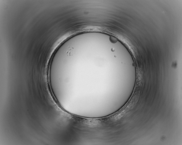 X0000100381090200806131054