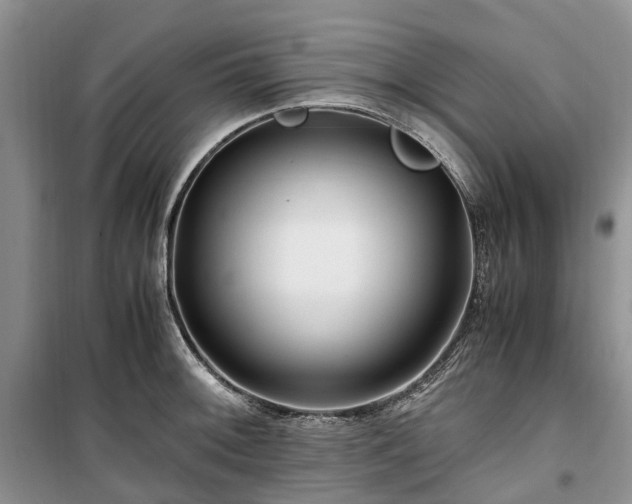 X0000100381092200806131054
