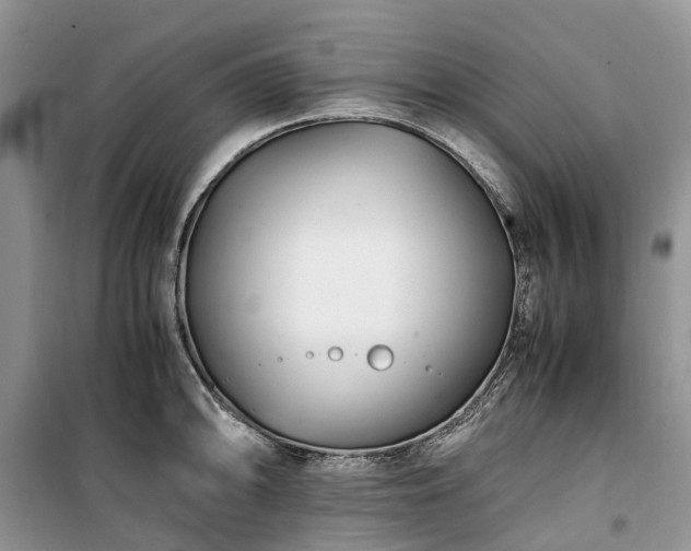 X0000100381094200806131054