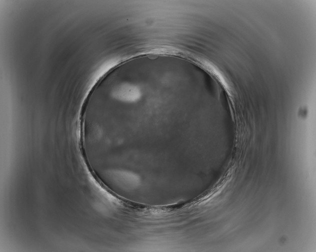 X0000100381095200806131054