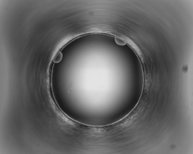 X0000100381096200806131054