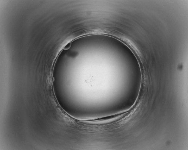 X0000100381097200806131054