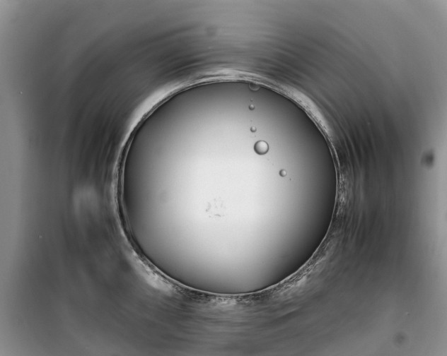 X0000100381098200806131054