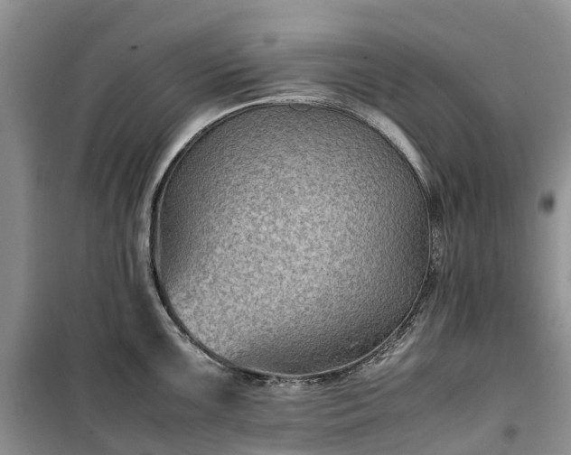 X0000100381099200806131054