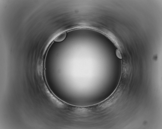 X0000100381100200806131054
