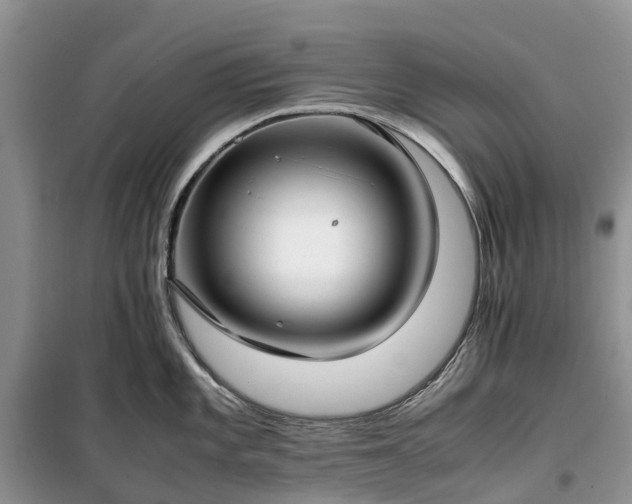 X0000100381101200806131054